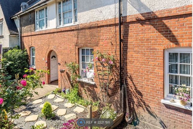 Thumbnail Terraced house to rent in Lessingham Avenue, London