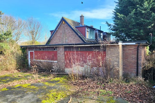 The Glynne, Cornist Road, Flint photo 2