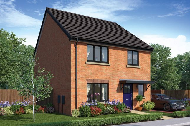 Detached house for sale in "The Reedmaker" at Maltkiln Grove, Great Eccleston, Preston