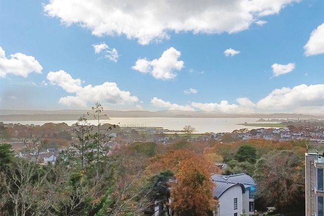8 Samphire,, Highmoor Road, Dorset photo 4