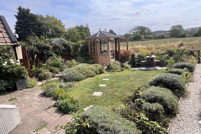 Garden 3.Jpeg