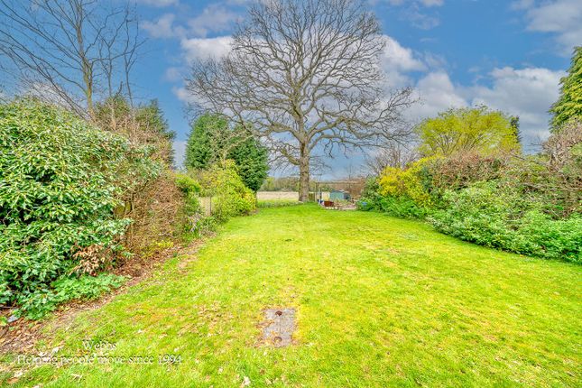 110, Aldridge Road, Walsall photo 4