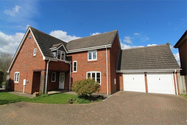 Thumbnail Detached house for sale in Lavender Close, Lutterworth