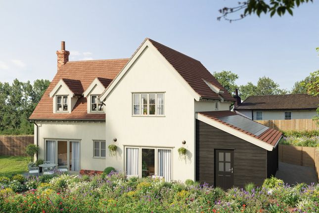 New House, Thorley Street, Bishop's Stortford photo 3