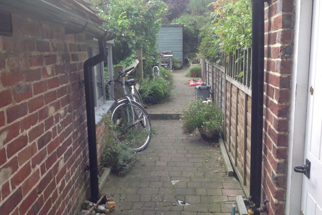 Little Beams, 23 High Street, Ditchling photo 4