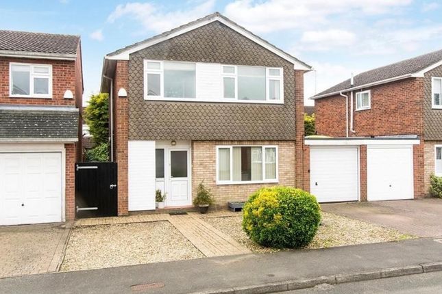 Thumbnail Detached house to rent in Elm Drive, Market Harborough, Leicestershire