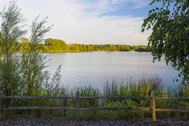 Link-detached house for sale in Cornflower, Conningbrook Lakes, Ashford