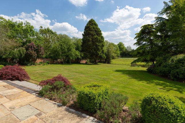 Gardens From Terrace