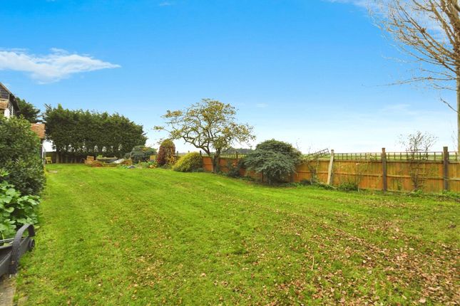 Old Montsales Farm,, Marshes, Essex photo 2