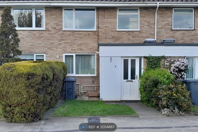 Terraced house to rent in Christchurch Drive, Woodbridge