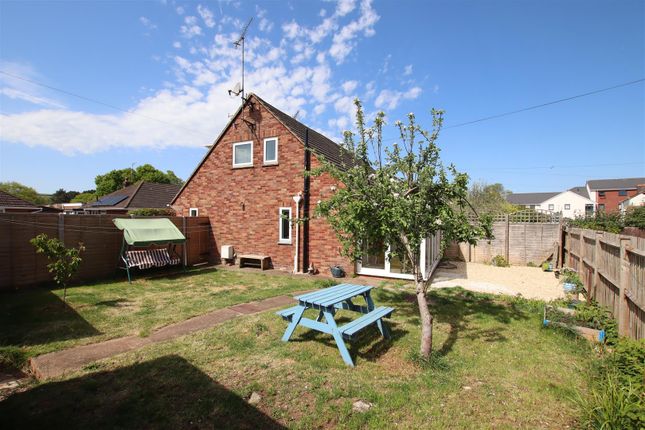 11, Mandrake Close, Exeter photo 4
