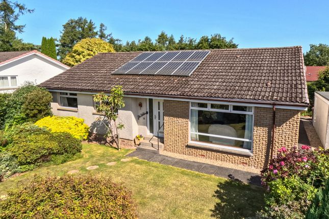 Thumbnail Detached bungalow for sale in Old Vinery, Kippen, Stirling