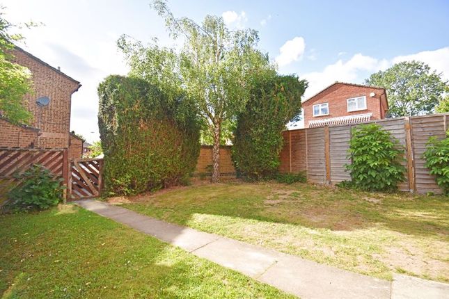 Semi-detached house to rent in Galloway Close, Basingstoke