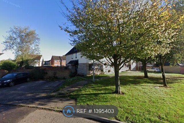 Thumbnail End terrace house to rent in Cleveland Close, Highwoods, Colchester