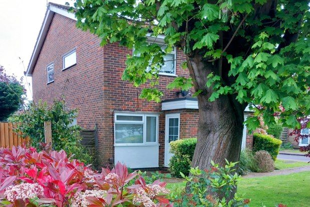 Studio to rent in Park Court, Leatherhead KT23