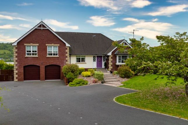 Thumbnail Detached house for sale in Forest Hills, Mayobridge, Newry