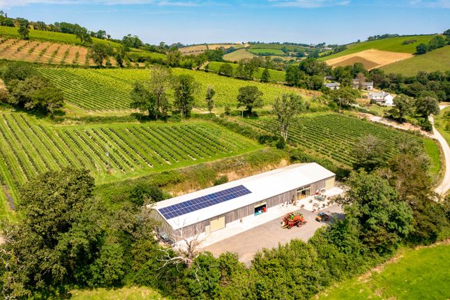 The Winery