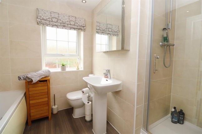 Bath / Shower Room / WC