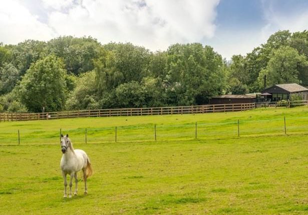 2-bed house on The Haybarn, Village Way, Cranleigh, £2,400/mo