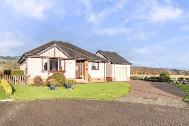 Thumbnail Detached bungalow for sale in Tay Avenue, Comrie