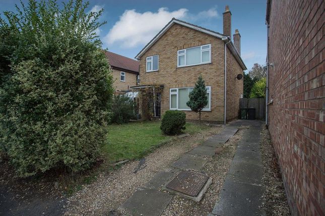 Thumbnail Detached house for sale in Eye Road, Peterborough