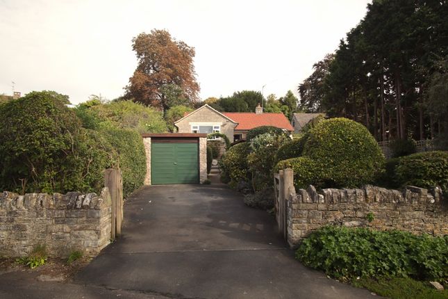 Detached bungalow for sale in Pesters Lane, Somerton