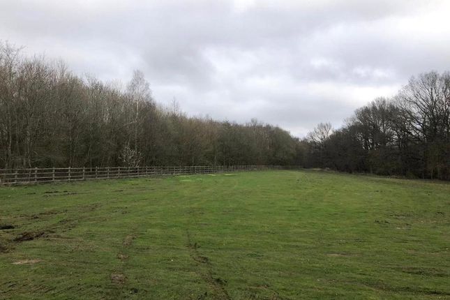 Land for sale in Land To The East, Chegworth Lane, Harrietsham