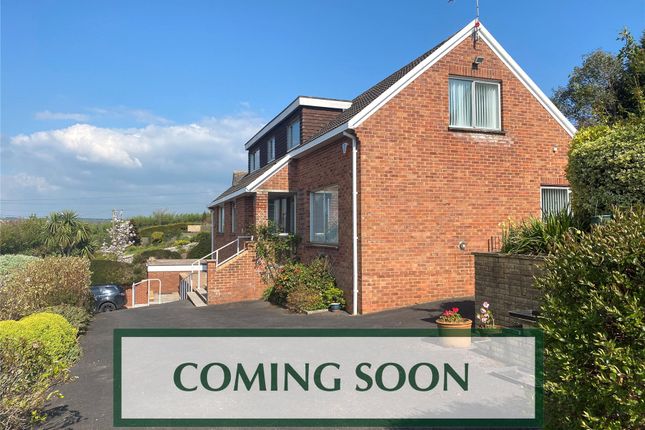 Thumbnail Detached house for sale in Maer Lane, Exmouth
