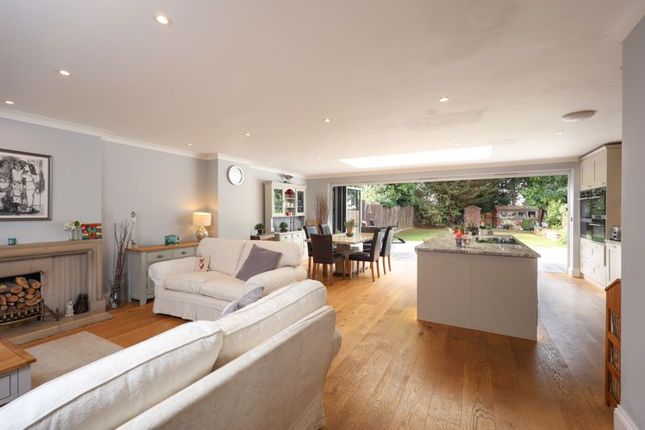 Kitchen/Dining/Living Space