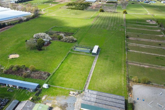 72, Hungerdown Lane, Manningtree photo 4