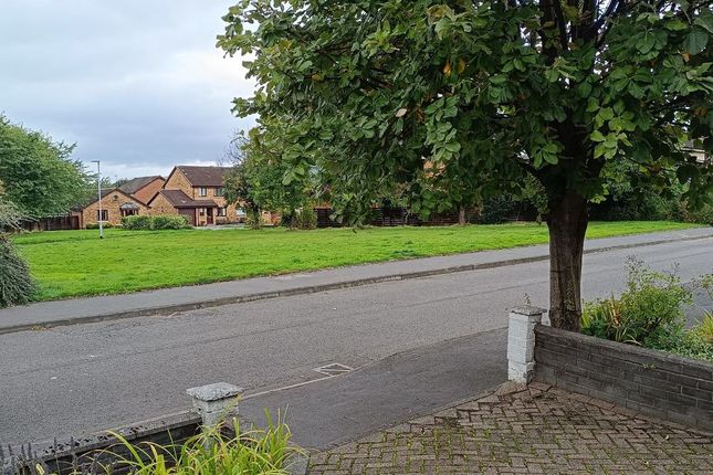 34, Wood Avens, Tullibody photo 2