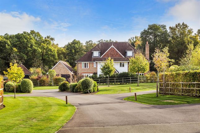 Thumbnail Detached house for sale in Cricket Green Close, Shackleford, Godalming
