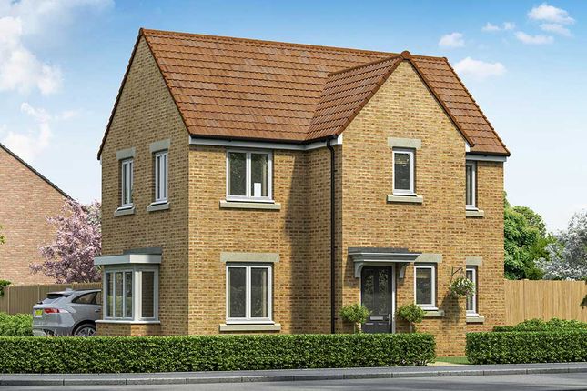 Thumbnail Property for sale in "The Windsor" at Chestnut Way, Newton Aycliffe