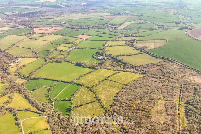 Land Formerly part of, Dolpwll, Boncath photo 4