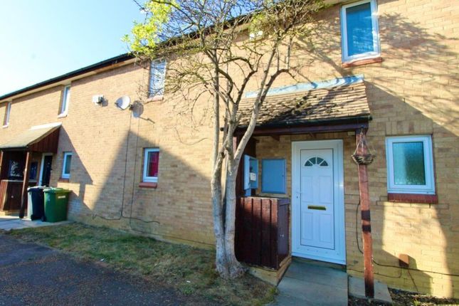 188300_Rl0499_Img_00_0000