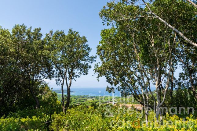 Villa for sale in Italy, Tuscany, Grosseto, Castiglione Della Pescaia