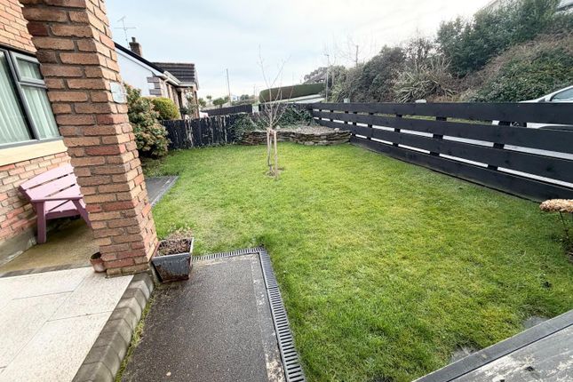 9, Briar Hill, Derry photo 3