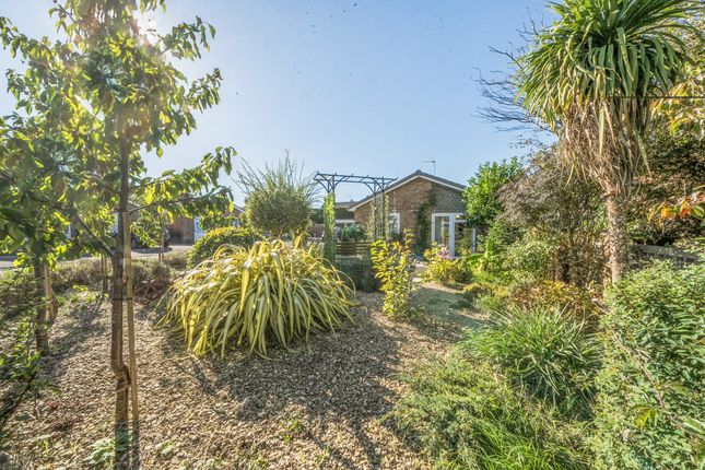 6, Tranmere Grove, Bristol photo 3