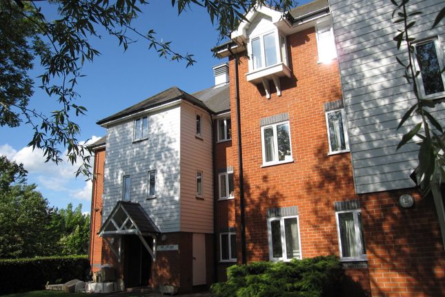 Thumbnail Flat to rent in Victoria Chase, Colchester