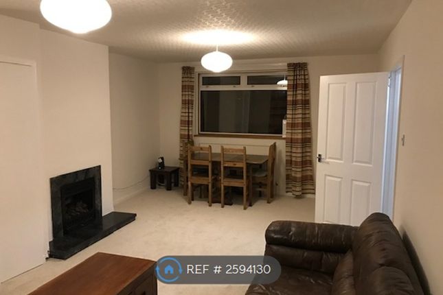 Living / Dining Room