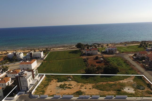 Commercial property for sale in Ayia Thekla, Famagusta, Cyprus