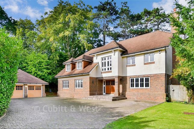 Watergate, The Warren, Kingswood photo 2