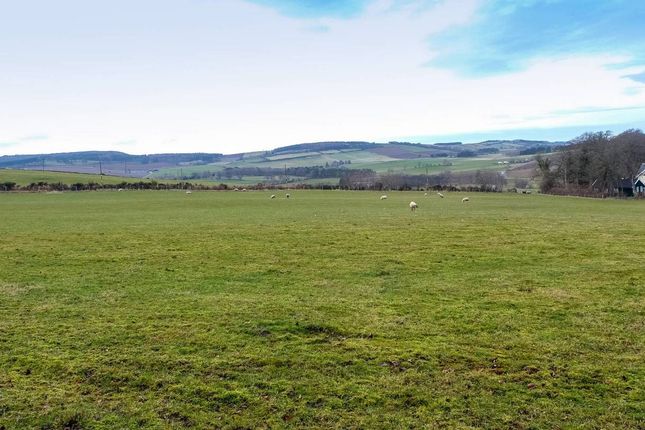 Land for sale in Forgue, Huntly, Aberdeenshire