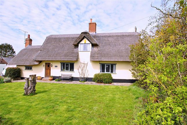 Thumbnail Cottage for sale in Cutbush, Wickhambrook, Newmarket