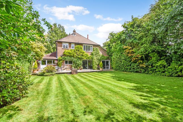 Zoopla Hillsborough, 3, Andover Road North, Winchester photo 4