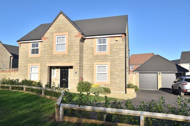 Thumbnail Detached house for sale in Heather Close, Somerton