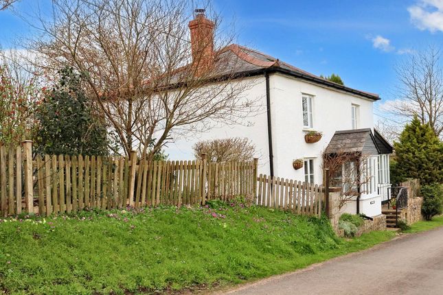 Thumbnail Cottage for sale in Combe Wood Lane, Combe St. Nicholas, Chard