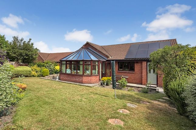 Rear Elevation