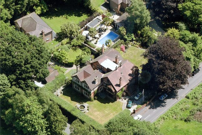 Ariel View