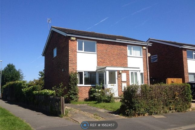 Thumbnail Semi-detached house to rent in Lingfield Road, Yarm